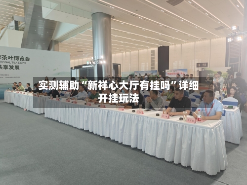 实测辅助“新祥心大厅有挂吗	”详细开挂玩法-第2张图片