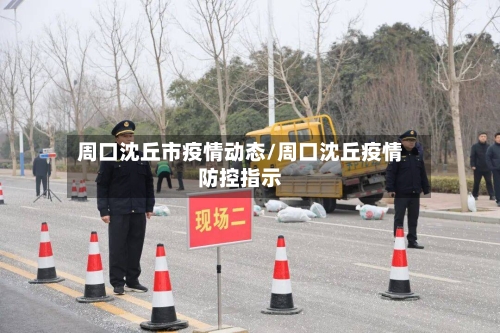 周口沈丘市疫情动态/周口沈丘疫情防控指示-第3张图片
