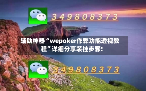 辅助神器“wepoker作弊功能透视教程	”详细分享装挂步骤!-第1张图片