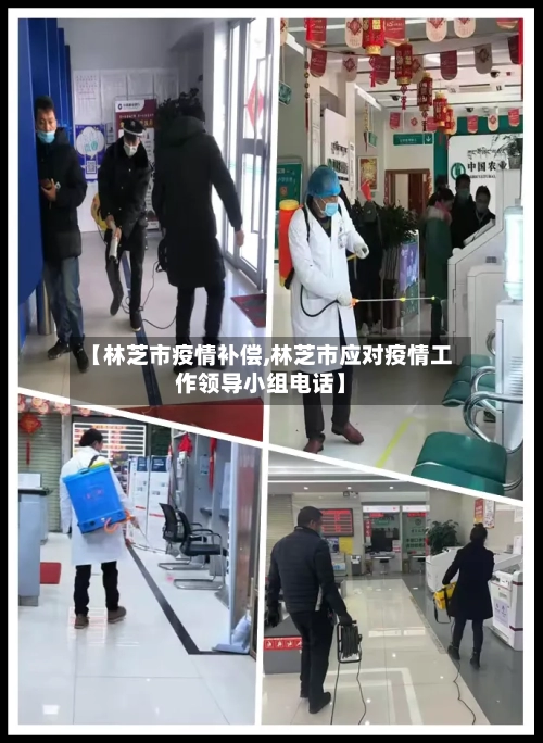 【林芝市疫情补偿,林芝市应对疫情工作领导小组电话】-第1张图片