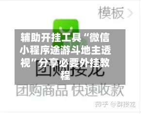 辅助开挂工具“微信小程序途游斗地主透视”分享必要外挂教程-第2张图片
