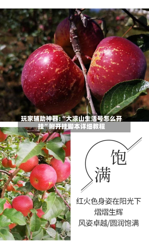 玩家辅助神器:“大凉山生活号怎么开挂”附开挂脚本详细教程-第2张图片