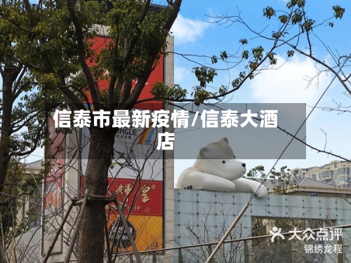 信泰市最新疫情/信泰大酒店-第3张图片