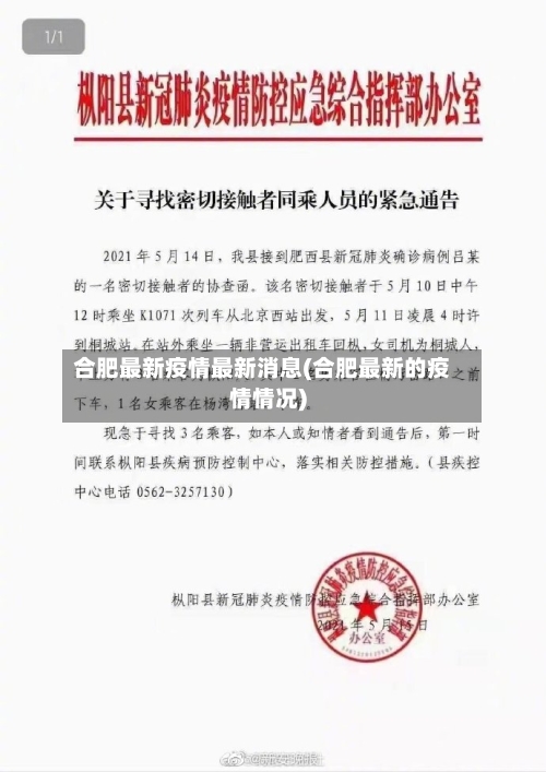 合肥最新疫情最新消息(合肥最新的疫情情况)-第3张图片