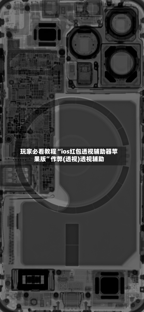玩家必看教程“ios红包透视辅助器苹果版”作弊(透视)透视辅助-第1张图片
