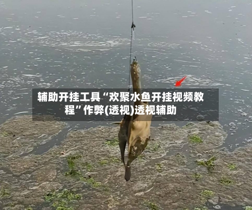 辅助开挂工具“欢聚水鱼开挂视频教程	”作弊(透视)透视辅助-第2张图片