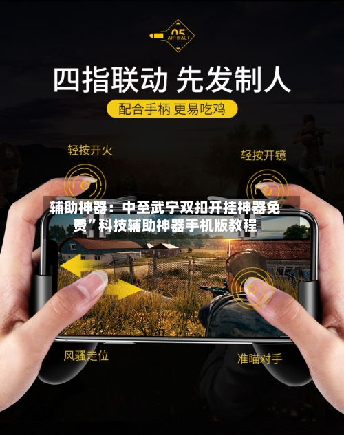 辅助神器：中至武宁双扣开挂神器免费”科技辅助神器手机版教程-第2张图片