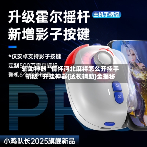 辅助神器“情怀河北麻将怎么开挂手机版”开挂神器{透视辅助}全揭秘-第1张图片