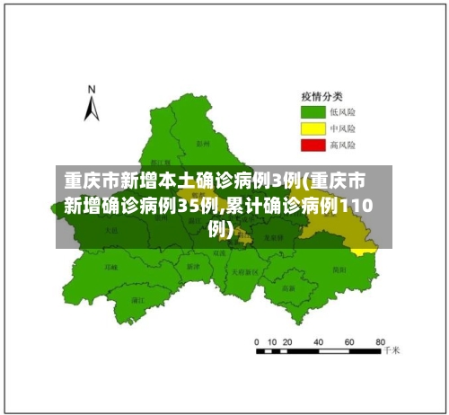 重庆市新增本土确诊病例3例(重庆市新增确诊病例35例,累计确诊病例110例)-第1张图片