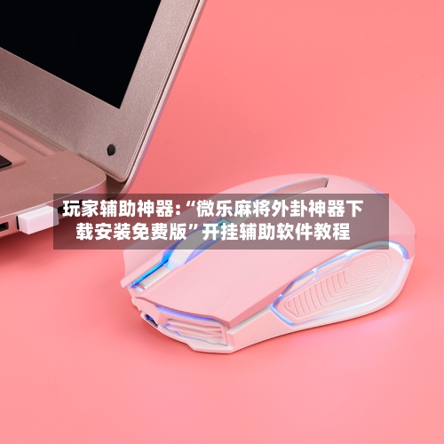 玩家辅助神器:“微乐麻将外卦神器下载安装免费版”开挂辅助软件教程-第1张图片