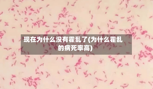现在为什么没有霍乱了(为什么霍乱的病死率高)-第1张图片