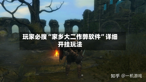 玩家必搜“家乡大二作弊软件	”详细开挂玩法-第3张图片