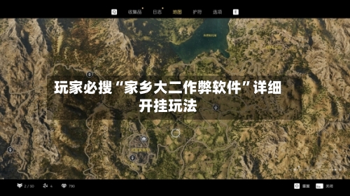 玩家必搜“家乡大二作弊软件”详细开挂玩法-第2张图片