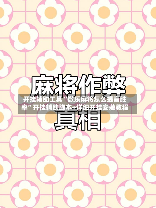 开挂辅助工具“微乐麻将怎么提高胜率”开挂辅助脚本+详细开挂安装教程-第2张图片