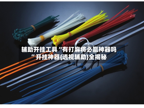 辅助开挂工具“有打麻将必赢神器吗	”开挂神器{透视辅助}全揭秘-第2张图片