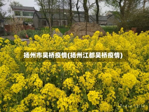 扬州市吴桥疫情(扬州江都吴桥疫情)-第1张图片