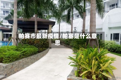 帕赛市最新疫情/帕塞是什么意思-第3张图片