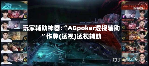 玩家辅助神器:“AGpoker透视辅助”作弊(透视)透视辅助-第3张图片
