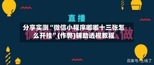 分享实测“微信小程序嘟嘟十三张怎么开挂”(作弊)辅助透视教程-第2张图片