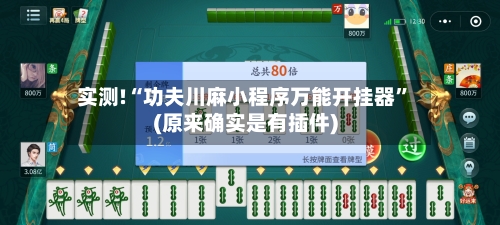 实测!“功夫川麻小程序万能开挂器	”(原来确实是有插件)-第3张图片