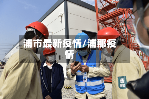 浦市最新疫情/浦那疫情-第2张图片