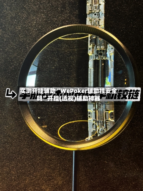 实测开挂辅助“WePoker辅助挂安全吗	”开挂(透视)辅助神器-第3张图片