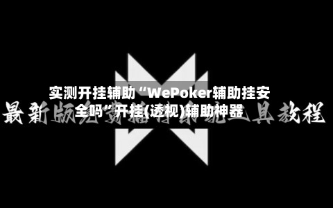 实测开挂辅助“WePoker辅助挂安全吗”开挂(透视)辅助神器-第2张图片