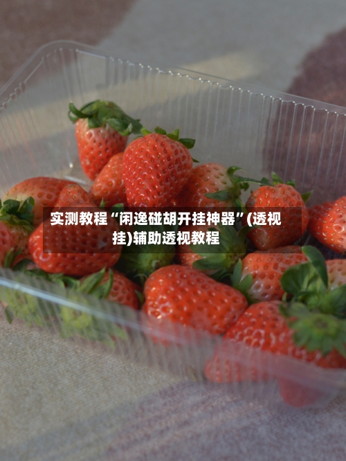 实测教程“闲逸碰胡开挂神器”(透视挂)辅助透视教程-第1张图片