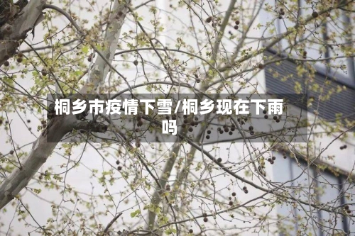 桐乡市疫情下雪/桐乡现在下雨吗-第1张图片