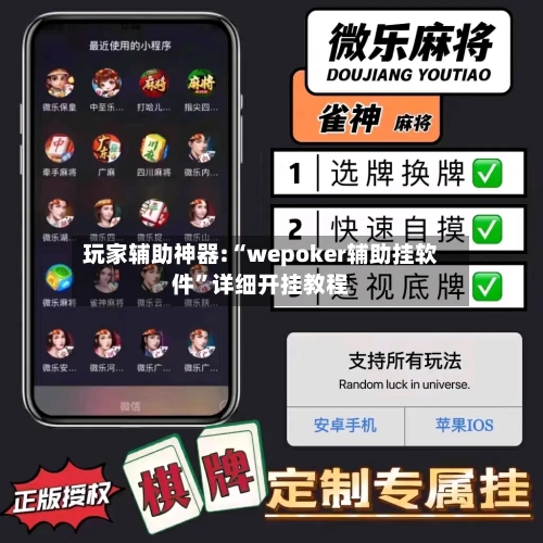 玩家辅助神器:“wepoker辅助挂软件”详细开挂教程-第1张图片