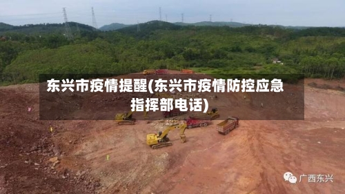 东兴市疫情提醒(东兴市疫情防控应急指挥部电话)-第2张图片