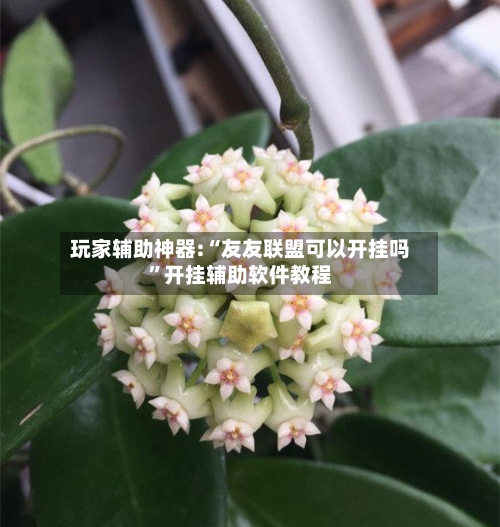 玩家辅助神器:“友友联盟可以开挂吗”开挂辅助软件教程-第2张图片