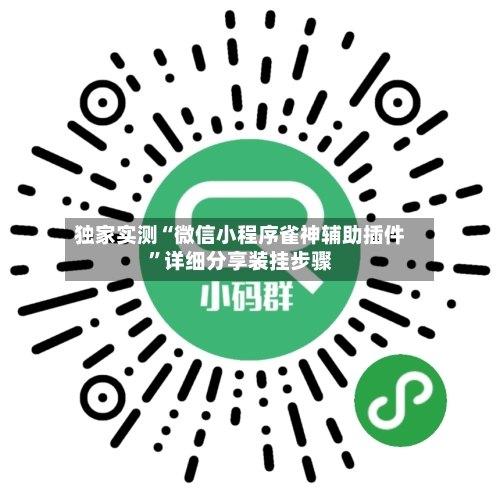 独家实测“微信小程序雀神辅助插件”详细分享装挂步骤-第1张图片