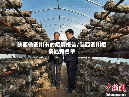 陕西省铜川市的疫情报告/陕西铜川疫情最新名单-第3张图片