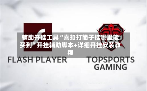 辅助开挂工具“喜扣打筒子挂哪里能买到”开挂辅助脚本+详细开挂安装教程-第2张图片