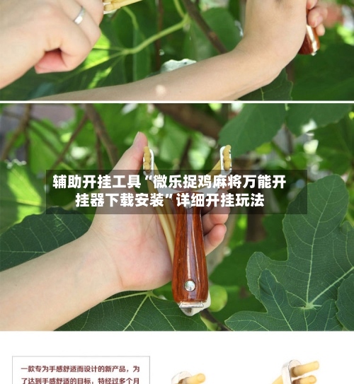 辅助开挂工具“微乐捉鸡麻将万能开挂器下载安装	”详细开挂玩法-第1张图片