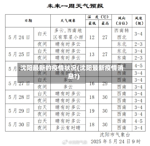 沈阳最新的疫情状况(沈阳最新疫情消息?)-第1张图片