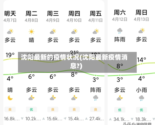 沈阳最新的疫情状况(沈阳最新疫情消息?)-第3张图片