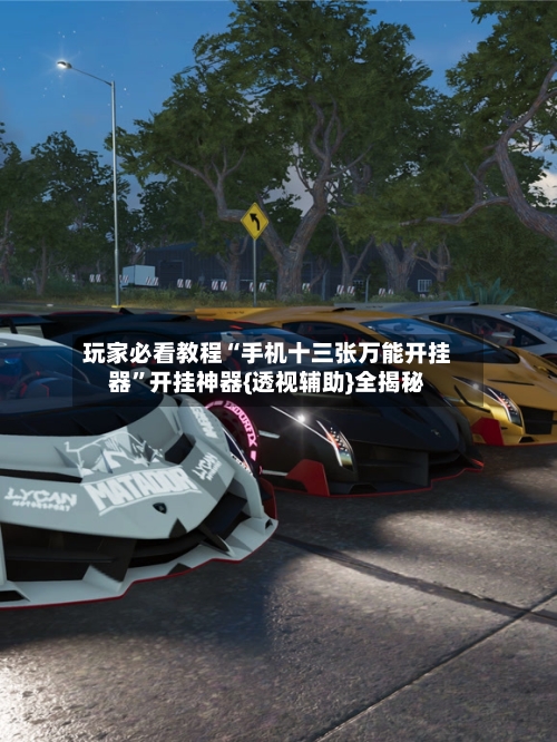 玩家必看教程“手机十三张万能开挂器”开挂神器{透视辅助}全揭秘-第1张图片