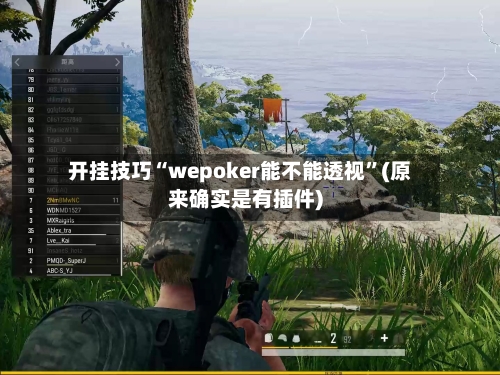 开挂技巧“wepoker能不能透视”(原来确实是有插件)-第1张图片