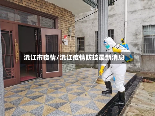 沅江市疫情/沅江疫情防控最新消息-第3张图片