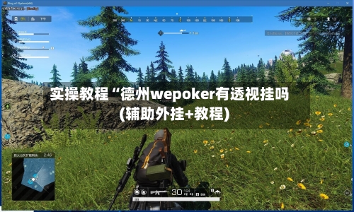 实操教程“德州wepoker有透视挂吗(辅助外挂+教程)-第2张图片
