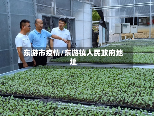 东游市疫情/东游镇人民政府地址-第1张图片
