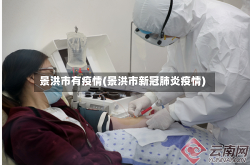 景洪市有疫情(景洪市新冠肺炎疫情)-第3张图片