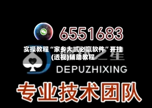 实操教程“家乡大贰必赢软件	”开挂(透视)辅助教程-第1张图片