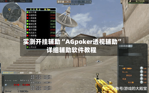 实测开挂辅助“AGpoker透视辅助”详细辅助软件教程-第3张图片