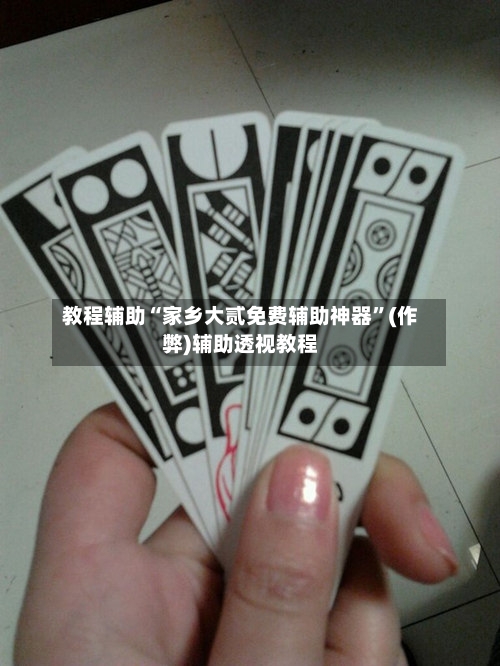 教程辅助“家乡大贰免费辅助神器	”(作弊)辅助透视教程-第1张图片