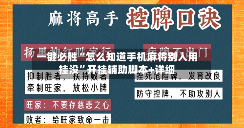 一键必胜“怎么知道手机麻将别人用挂没”开挂辅助脚本+详细-第3张图片