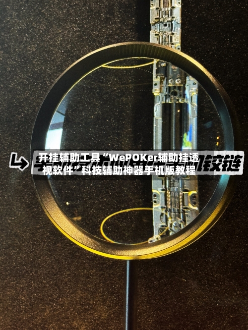 开挂辅助工具“WePOKer辅助挂透视软件	”科技辅助神器手机版教程-第2张图片