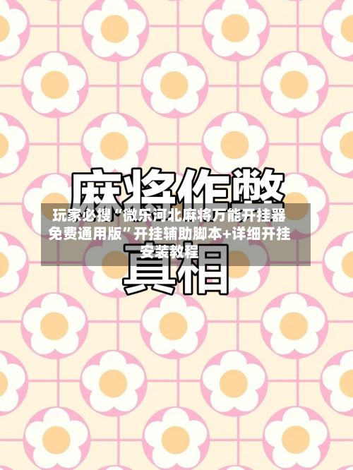 玩家必搜“微乐河北麻将万能开挂器免费通用版”开挂辅助脚本+详细开挂安装教程-第3张图片